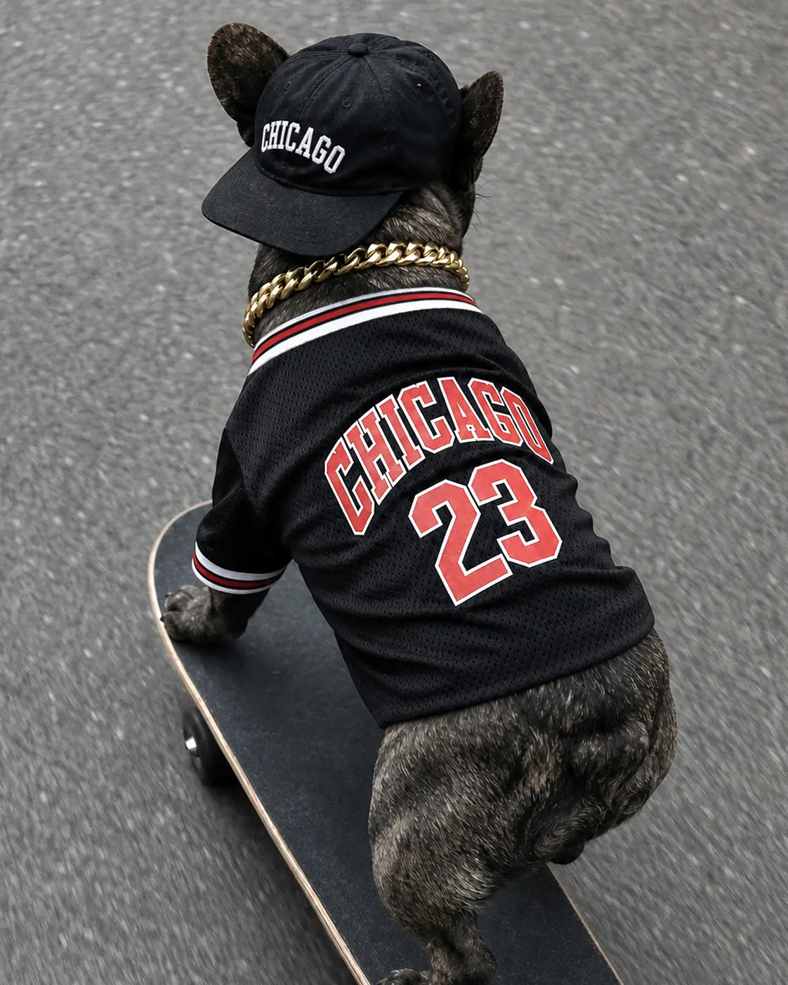 Chicago 23 Dog Jersey Cat Shirt, Anti Shedding Pet Pajamas Onesie for Dogs Cats, Warm Cozy Loungewear for Post Surgery Recovery, Stretchy Soft Clothes for Small Medium Large Pets