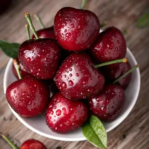 Dwarf cherry tree with bare roots, well-developed root system, easy to grow