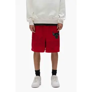 Chicago Bulls Mesh Shorts