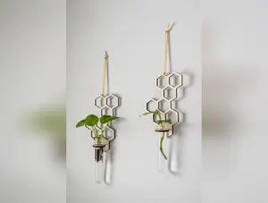 PlantsNsht - 1 Tube Honeycomb Hanging Propagation Station: Light Wood