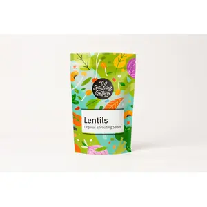 Organic Lentils Sprouting Seeds