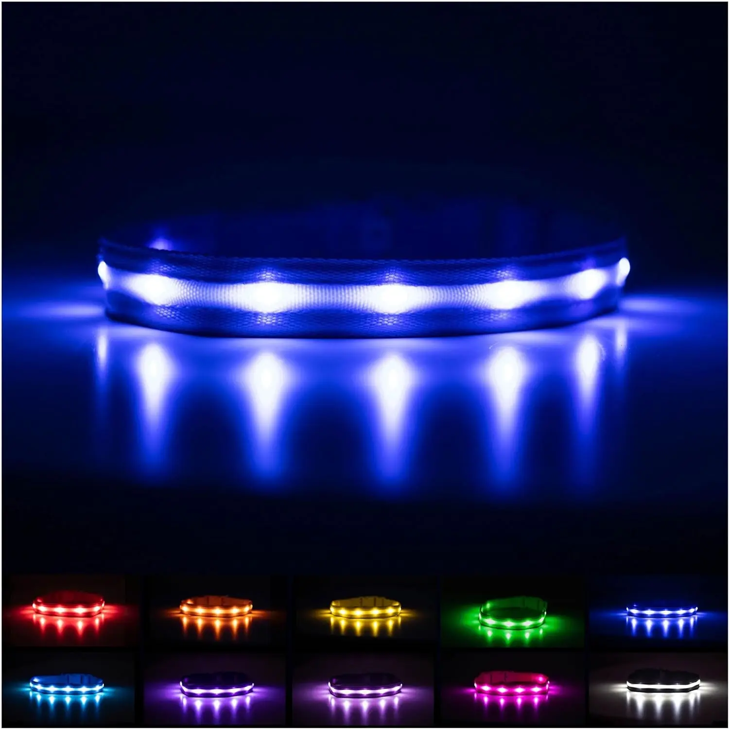 Brightest Light up Dog Collars - 1,000 Feet of Visibility - USB Rechargeable, Waterproof