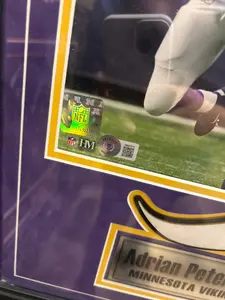 Adrian Peterson  8x (FSP)