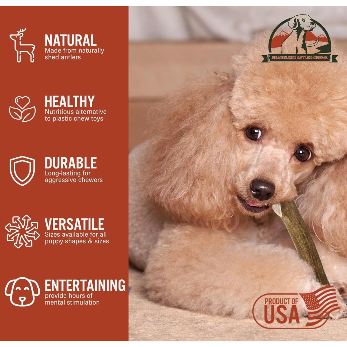 Heartland Antlers Medium Whole Elk Antler Dog Chew | 5–6" | 2–2.5 oz | Natural & Durable | For Moderate Chewers | USA Made Heartland Antlers Medium Whole Elk Antler Dog Chew | 5–6" | 2–2.5 oz | Natural & Durable | For Moderate Chewers | USA Made