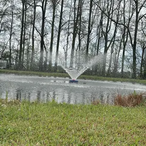 750W Pond Fountain Aerator, 1HP 15000 GPH Powerful Floating Pond Fountain Pump with Stainless Steel Body and 100ft Power Cord