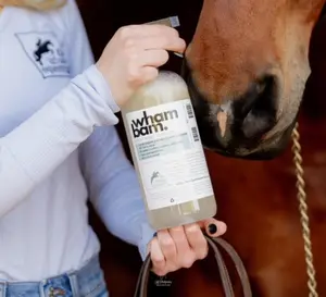 Wham Bam. A Coat Spray Repellent. A Fly spray for YOU and your horse.