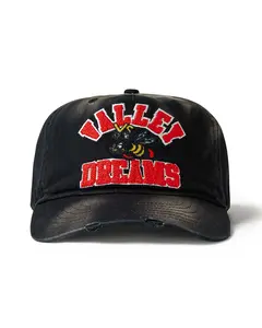 Vale Forever Wrecked Anthem Cap Black
