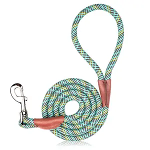 【No More Rope Burn】PetSafe Reflective Dog Leash 55-inch Non-slip Metal Buckle No-pull Design Tangle-Free Durable for Small Medium Large Dogs