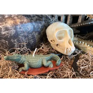 Alligator Candle New Orleans Voodoo / Hoodoo / Conjure