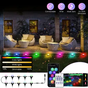 Christmas Ground Light RGB+IC Smart Path Light, Outdoor Waterproof IP67, Supports APP & Remote Control, Music Sync, 63 Color-Changing Modes, Timer Function, Voice Control via Alexa, Suitable for Lawn, Garden, Patio, Yard Decoration & Gift Giving