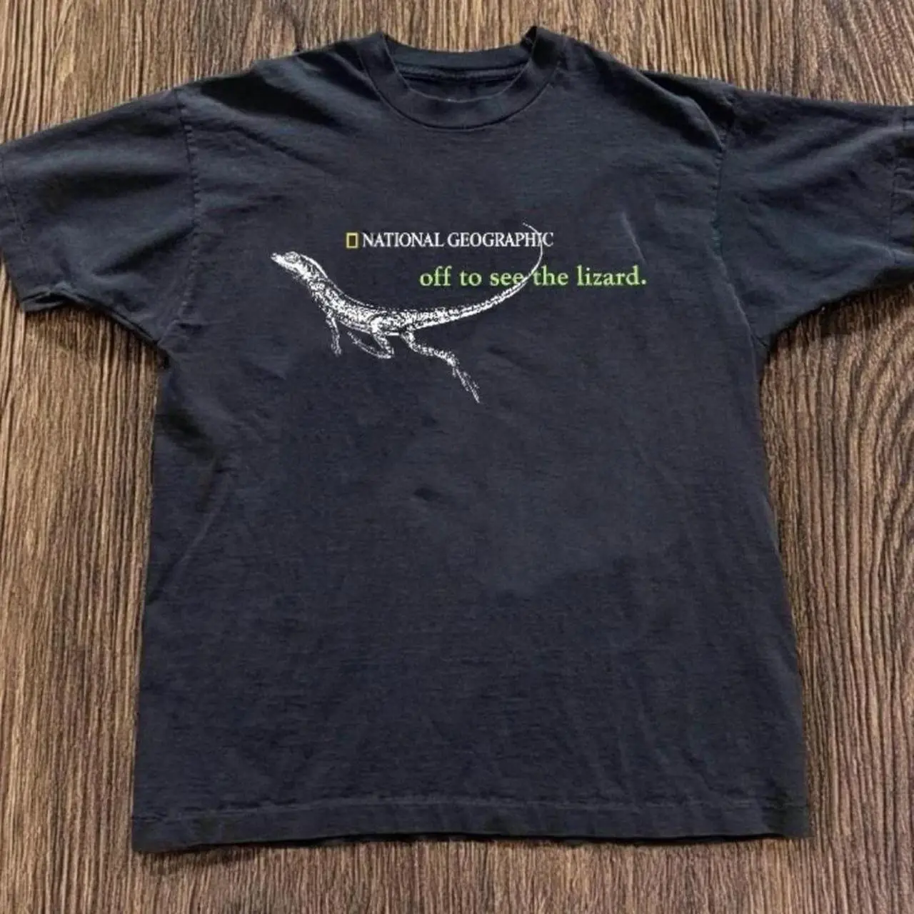 National Geographic "Off To See The Lizard" Tee – Vintage Lizard Graphic Shirt, Black Washed Streetwear T-Shirt