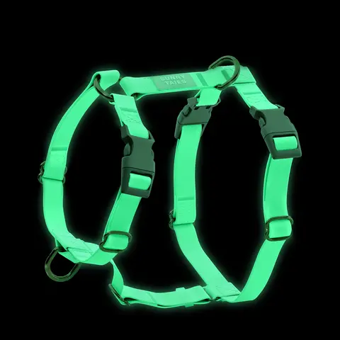 Lunar Glow in the Dark Waterproof Dog Harness