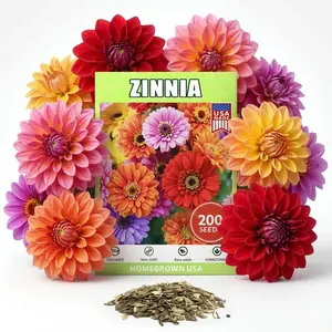 Dwarf Lilliput Mix Zinnia Seeds for Planting Non GMO Heirloom USA Harvested Pollinator Bee Butterfly Outdoor Courtyard 200pcs seeds of Zinnia Seeds All Seasons