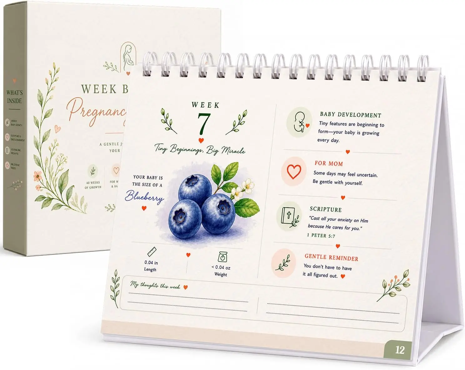 Pregnancy Calendar for First Time Moms - Week by Week Flip Calendar, Faith-Inspired Baby Shower Gift