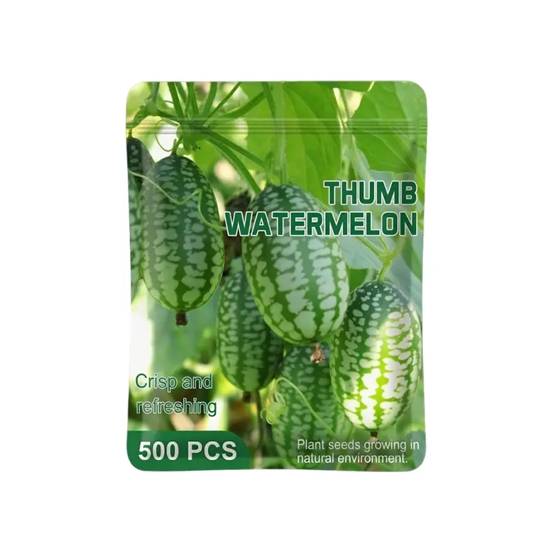 500pcs Bulk Heirloom Cucamelon Seeds - Mexican Sour Gherkin, Bite-Sized, Crisp, Refreshing Miniature Watermelons for Home, Container Gardening, Bulk Seeds