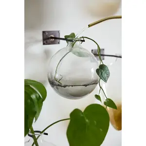 Envision Propagation Wall Mount Vase - Sphere shape