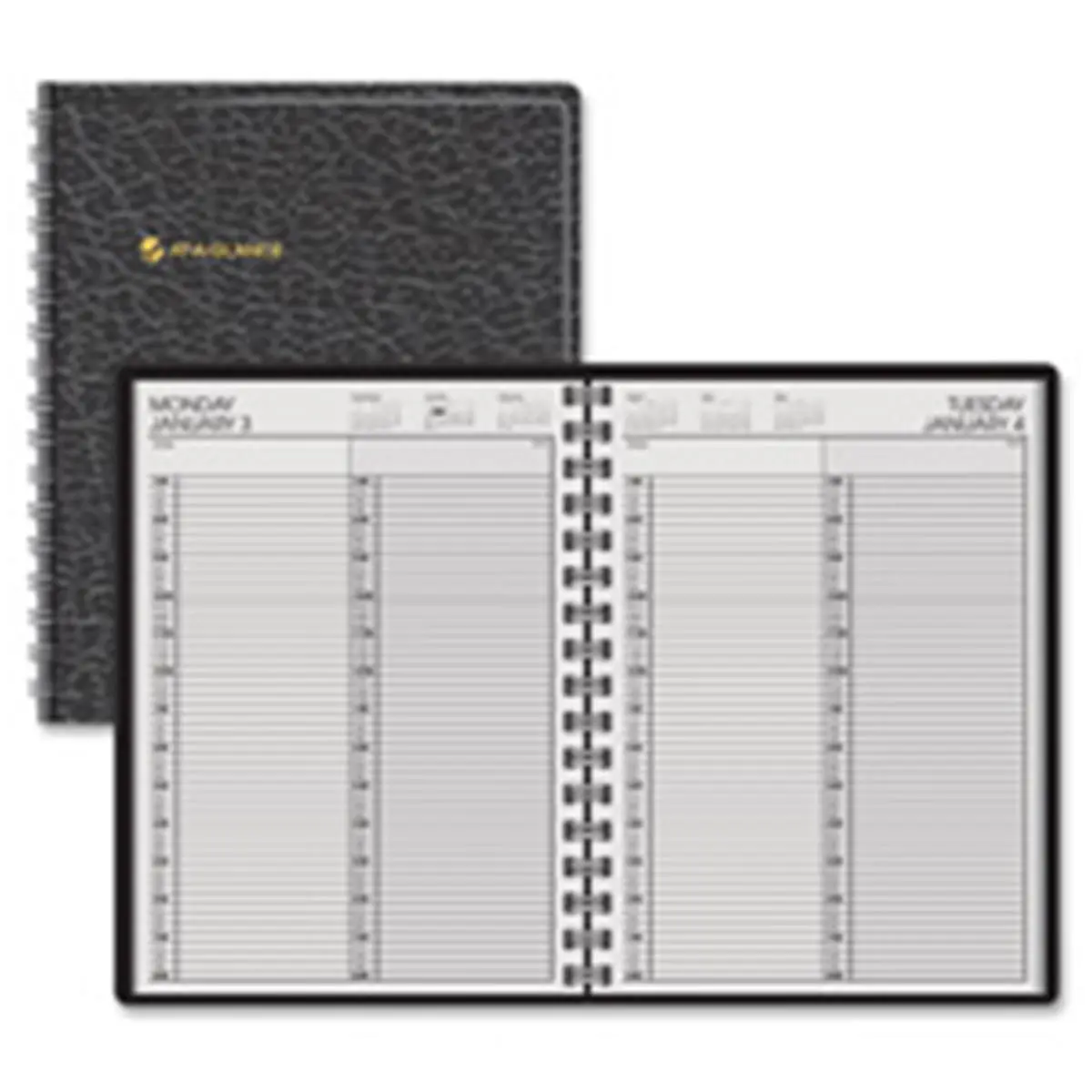 212 MAIN 2-Person Appointment Book, 1 Page per Day, Quarter-Hr Grid, Dual Schedules, Jan-Dec Annual Planner, 8 in. x 10.88 in. Simulated Leather, Black, One Page Day