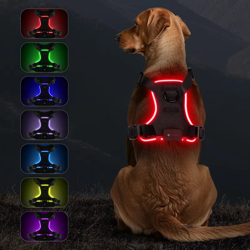LED Dog Harness - Nylon Pet Vest with Comfortable Adjustable Fit, Easy On & Off, Bright 360° LED Illumination, USB Rechargeable, No-Pull, Waterproof, Black (RGB-7 Color Light), Blue for Small/Medium/Large Dogs (Night Walking, Camping)