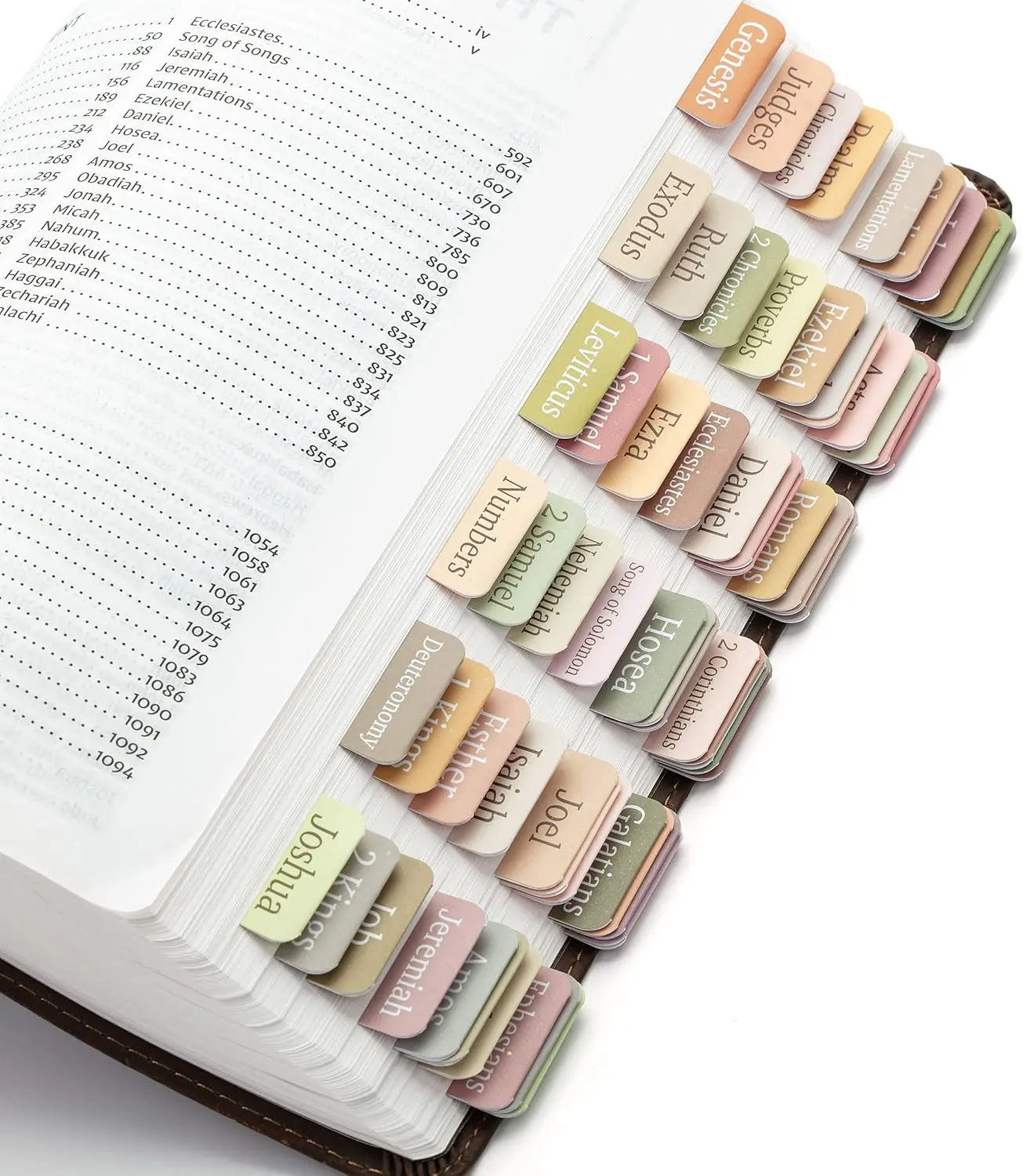 75 Boho Bible Index Divider Labels - Laminated, Durable Tabs, Matte Finish Office Supplies for Bible Study, New Testament, Old Testament, Blank Options, Blank Tabs