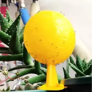 Fly Trap Ball for Fruit Trees, Citrus Fruit Fly Traps, Large Real Flies, Small Real Flies, Cucumber Flies, Solid Form, Honey Bee Attractant