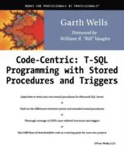 USED-Code Centric: T-SQL Programming with Stored Procedures and Triggers by Wells, Garth (Paperback)