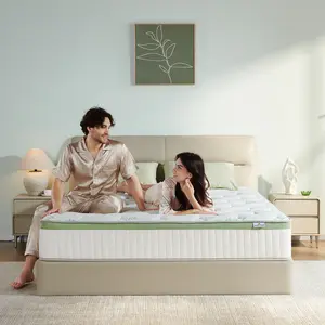 ZYLUMI Queen Mattress, 12" Spring Hybrid Mattress, In-a-Box, Memory Foam, Pocket Spring Mattress, Pressure Relief, Medium Firm Support, CertiPUR-US and Oeko TEX Certified