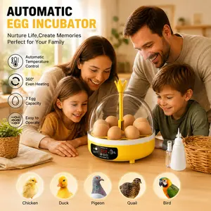8-Egg Mini Egg Incubator, Automatic Egg Turner, Educational Hatching Kit, Temperature Control Incubator, Home Use & Farm Learning Device, Birthday Holiday Gift