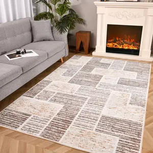 Soft Area Rug Fluffy Modern Flannel Rug Floor Mat Rug for Living Room Bedroom Home Decor