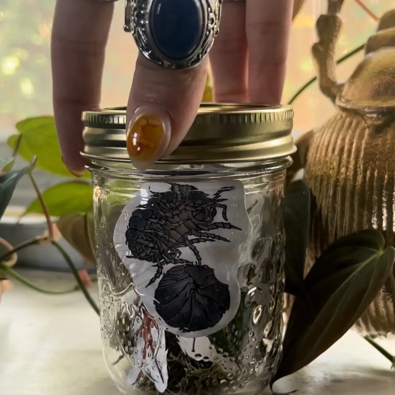 Jar O’ bugs— handmade 6 pack of bug stickers