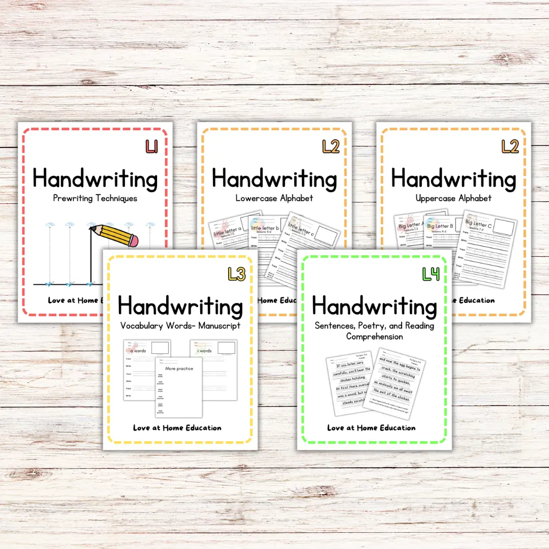 Full manuscript handwriting collection Second Grade Alphabet Learning Materials Dotted Notebook