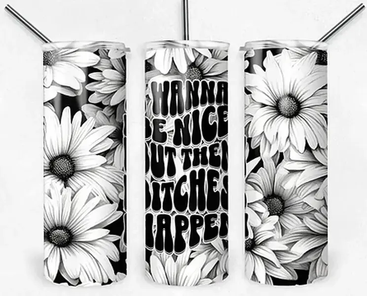 20oz Skinny Stainless Steel Vacuum Insulated Portable Water Bottle - Funny Sarcastic Print "I Wanna Be Nice", Leakproof Travel Mug with Lid & Straw, Humorous Gift Reusable Kitchenware Drinkware