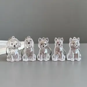 Cute Dog Hair Storage Capsule Keychain Pendant, Creative Cartoon Pet Fur Keepsake Accessory, Ideal for Pet Lovers, Keychain For Bags