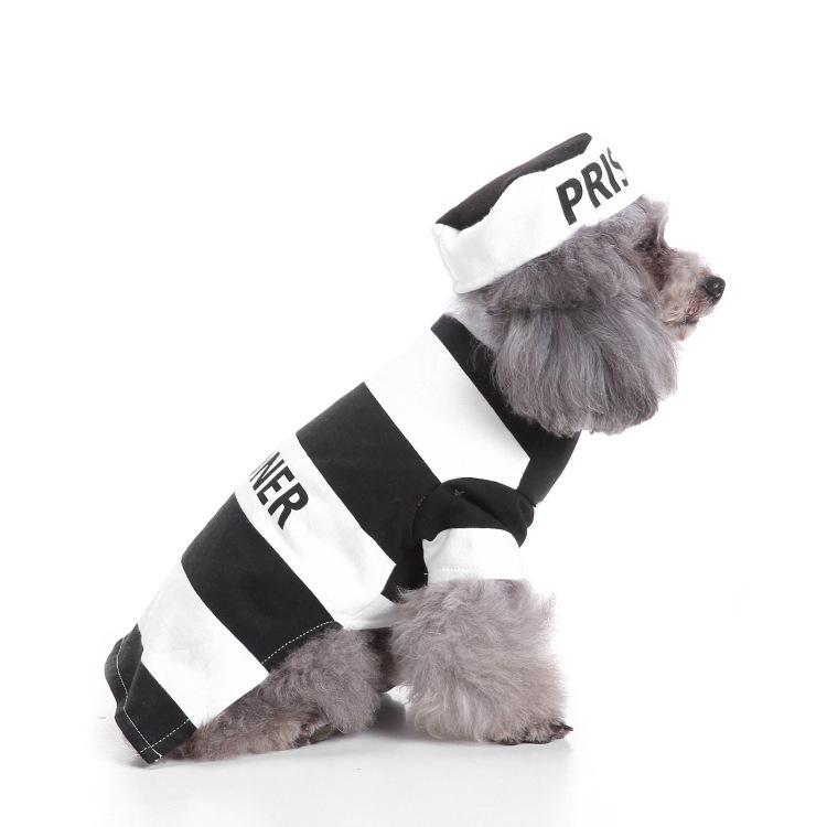 Dog Halloween costume with funny costumes Dog Halloween costume with funny costumes