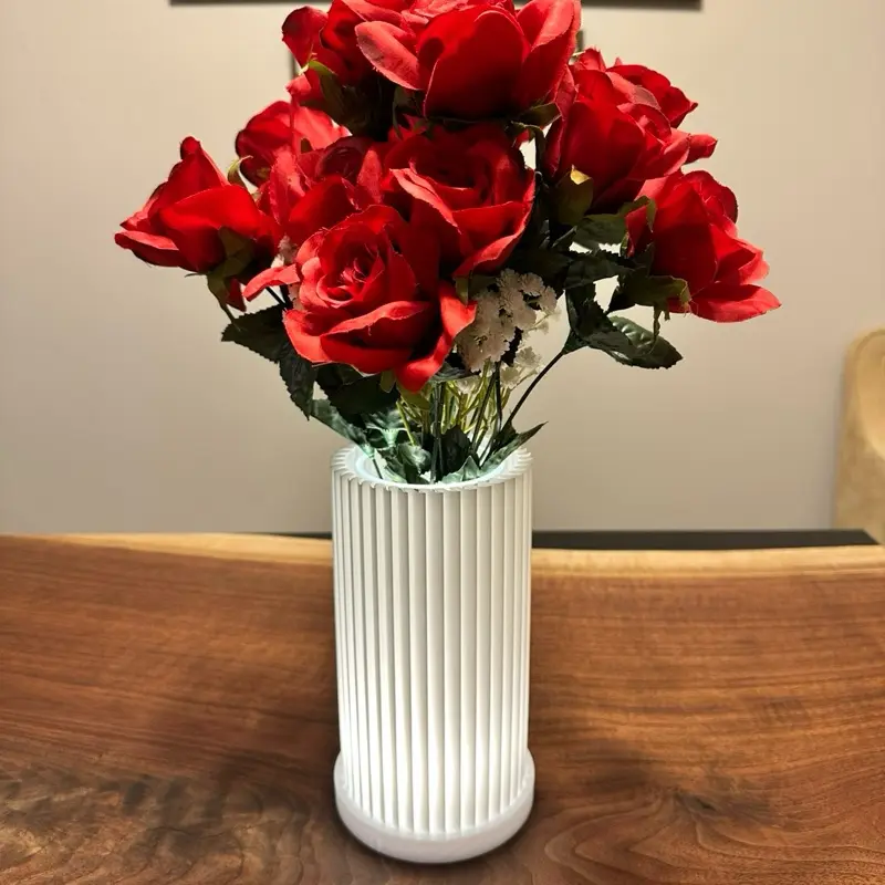 Feather - LED Lamp & Vase - Dual Functional - Day or Night - Centerpiece for Home Decor - 3D-Printed Design - Energy-Efficient 2W - USB-A Compatible