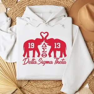 Delta Sigma Theta Hoodie