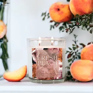 The Modern Candle Collection 8oz, Non-Toxic, Coconut Apricot Wax