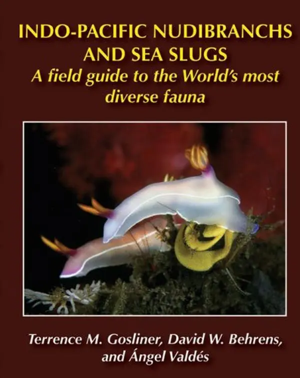 USED-Indo Pacific Nudibranchs and Sea Slugs by Terrence Gosliner (Paperback)