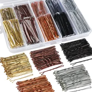 250Count Bobby Pins  for Women Girls, 2Inch  Black Blonde Brown Silver Hair Pins with Storage Bo