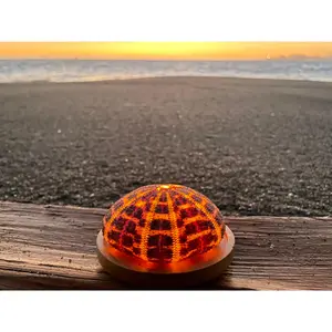 Glowshella Sea Urchin Lamp
