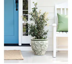 LuxenHome Green Paisley Ceramic Planter, 11.42" Round Pot