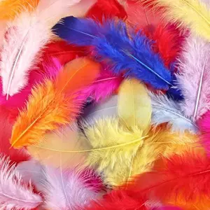 300pcs MultiColor Feathers for Crafts, Rooster Feathers, Dream Catcher Feathers, DIY Craft Supplies, Jewelry Making, Party Decor, Soft & Fade-Resistant, Natural Feathers Bulk, Crafting Materials, Teen Crafts, 3-5 Inch Assorted Feathers