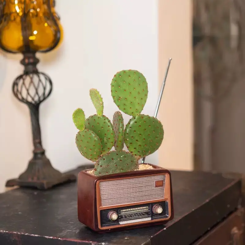 Vintage Retro Radio-Shaped 1-Piece Resin Ornament Planter - Multi-Use Versatile Functional Home Decor Ornamental Vase, Flower Pot for Home Gardening, Perfect Gift for Any Occasion