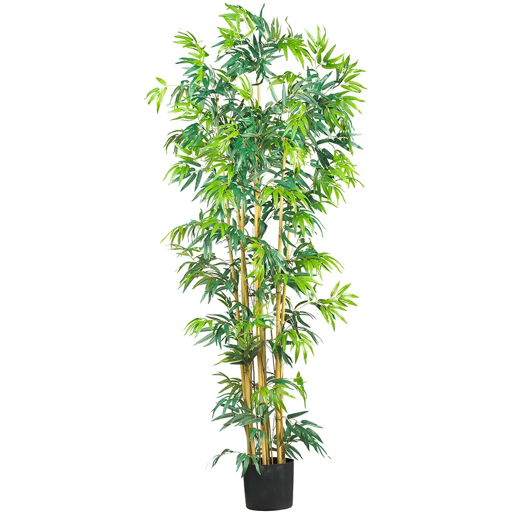6 ft. Multi Bambusa Bamboo Silk Tree, Indoor Home Decor for Sunrooms, Natural Stalks with Airy Leaves