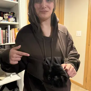 Cat in pouch 3