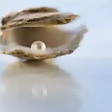 Pearlicious Jewelry