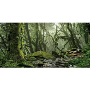 Foggy Forest Terrarium Background Stream Green Huge Tree Reptile Habitat Tropical Rainforest Aquarium Background 36x18 inches Durable Polyester