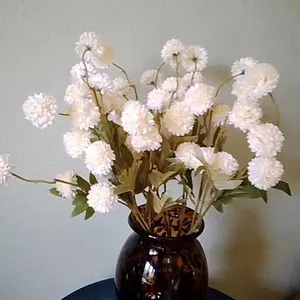review image 11