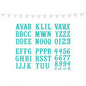 Customizable Free Spirit Pennant Banner for Baby's First Birthday