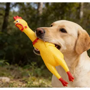 Interactive Dog Chew Toy Set of 2, Large Squeaky Chicken Rubber Toys for Dogs, Durable Pet Teething Toys for Fun & Engaging Play, Chew Stick