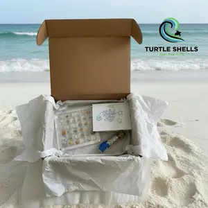 Locally filled Turtle Shells Coastal Keepsake Box 36ct for the beach lover collectible Shell Holder from Juno Beach FL ships within 24hrs hand crafted